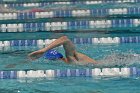 MSwim vs USCGA  Men’s Swimming & Diving vs US Coast Guard Academy. : MSwim, swimming